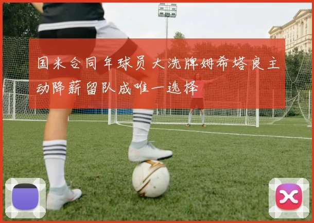 国米合同年球员大洗牌姆希塔良主动降薪留队成唯一选择